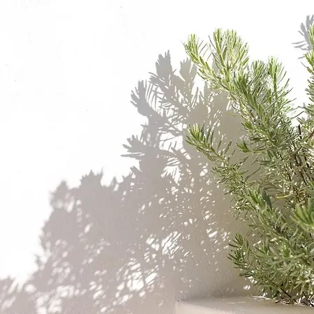 Koroneia Vakantiehuis